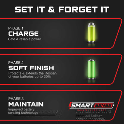 FORM 36V Lithium Golf Cart Charger - 43.8 Volt Output